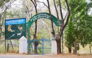 pocharam wild life sanctuary hyderabad things to do  in hyderabad