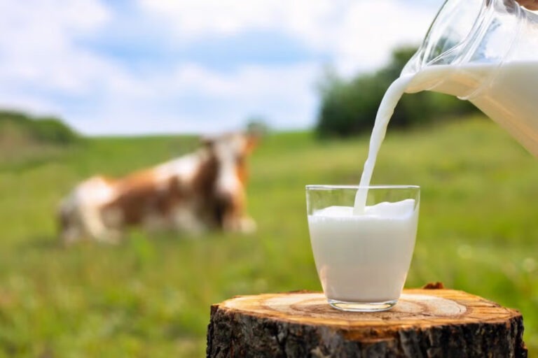 milk rates high from march